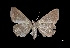  ( - MAL-01547)  @12 [ ] Unspecified (default): All Rights Reserved  Unspecified Unspecified