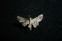  ( - MAL-01190)  @12 [ ] Unspecified (default): All Rights Reserved  Unspecified Unspecified