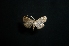  ( - MAL-01234)  @12 [ ] Unspecified (default): All Rights Reserved  Unspecified Unspecified