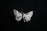  ( - MAL-01237)  @12 [ ] Unspecified (default): All Rights Reserved  Unspecified Unspecified