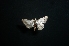 ( - MAL-01353)  @12 [ ] Unspecified (default): All Rights Reserved  Unspecified Unspecified