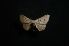  ( - MAL-01453)  @12 [ ] Unspecified (default): All Rights Reserved  Unspecified Unspecified