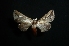  ( - MAL-01464)  @13 [ ] Unspecified (default): All Rights Reserved  Unspecified Unspecified