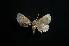  ( - MAL-01412)  @13 [ ] Unspecified (default): All Rights Reserved  Unspecified Unspecified