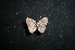  ( - MAL-05069)  @13 [ ] Unspecified (default): All Rights Reserved  Unspecified Unspecified