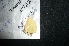  ( - MAL-05106)  @12 [ ] Unspecified (default): All Rights Reserved  Unspecified Unspecified