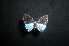  ( - MAL-05139)  @12 [ ] Unspecified (default): All Rights Reserved  Unspecified Unspecified