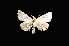  ( - MAL-05179)  @12 [ ] Unspecified (default): All Rights Reserved  Unspecified Unspecified