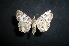  ( - MAL-05184)  @14 [ ] Unspecified (default): All Rights Reserved  Unspecified Unspecified