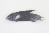  (Macropodus hongkongensis - Mhk122)  @13 [ ] CreativeCommons - Attribution Non-Commercial No Derivatives (2012) Tom Winstanley Unspecified