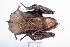  ( - JFD_01226)  @11 [ ] CreativeCommons  Attribution Non-Commercial Share-Alike (2019) Juan F Diaz Nieto Universidad EAFIT