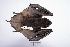  ( - JFD_01231)  @11 [ ] CreativeCommons  Attribution Non-Commercial Share-Alike (2019) Juan F Diaz Nieto Universidad EAFIT