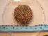  ( - MACNINVE0115)  @11 [ ] CreativeCommons - Attribution Non-Commercial No Derivatives (2015) Pablo E. Penchaszadeh Museo Argentino de Ciencias Naturales, CABA Argentina