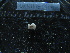  (Ypsilothuriidae - MACNINVE0176)  @11 [ ] CreativeCommons - Attribution Non-Commercial No Derivatives (2015) Pablo E. Penchaszadeh Museo Argentino de Ciencias Naturales, CABA Argentina