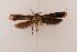  (Parkiana - BKR0267)  @14 [ ] CreativeCommons - Attribution Non-Commercial Share-Alike (2015) Bruno Kistrup Rasmussen Unspecified