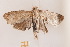  ( - DL14M1-0087)  @12 [ ] CreativeCommons - Attribution Non-Commercial Share-Alike (2015) Bruno Kistrup Rasmussen Unspecified