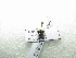  ( - NIBGE DIP-00813)  @12 [ ] CreativeCommons - Attribution Non-Commercial Share-Alike (2012) M. Sajjad Mirza National Institute for Biotechnology and Genetic Engineering Faisalabad Pakistan