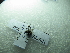  ( - NIBGE DIP-00828)  @12 [ ] CreativeCommons - Attribution Non-Commercial Share-Alike (2012) M. Sajjad Mirza National Institute for Biotechnology and Genetic Engineering Faisalabad Pakistan
