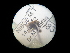 ( - NIBGE DIP-00831)  @12 [ ] CreativeCommons - Attribution Non-Commercial Share-Alike (2012) M. Sajjad Mirza National Institute for Biotechnology and Genetic Engineering Faisalabad Pakistan