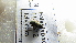  ( - NIBGE DIP- 00603)  @12 [ ] CreativeCommons - Attribution Non-Commercial Share-Alike (2012) Muhammad Ashfaq National Institute for Biotechnology and Genetic Engineering Faisalabad Pakistan