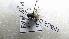  ( - NIBGE DIP- 00604)  @12 [ ] CreativeCommons - Attribution Non-Commercial Share-Alike (2012) Muhammad Ashfaq National Institute for Biotechnology and Genetic Engineering Faisalabad Pakistan