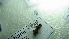  ( - NIBGE DIP- 00658)  @12 [ ] CreativeCommons - Attribution Non-Commercial Share-Alike (2012) Muhammad Ashfaq National Institute for Biotechnology and Genetic Engineering Faisalabad Pakistan
