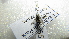  ( - NIBGE DIP- 00659)  @12 [ ] CreativeCommons - Attribution Non-Commercial Share-Alike (2012) Muhammad Ashfaq National Institute for Biotechnology and Genetic Engineering Faisalabad Pakistan