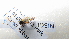  ( - NIBGE DIP- 00663)  @12 [ ] CreativeCommons - Attribution Non-Commercial Share-Alike (2012) Muhammad Ashfaq National Institute for Biotechnology and Genetic Engineering Faisalabad Pakistan