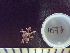  ( - CPVP-1077)  @11 [ ] Unspecified (default): All Rights Reserved  Unspecified Unspecified