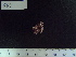  ( - CPVP-563)  @11 [ ] Unspecified (default): All Rights Reserved  Unspecified Unspecified