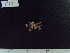  ( - CPVP-677)  @11 [ ] Unspecified (default): All Rights Reserved  Unspecified Unspecified