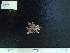  ( - CPVP-684)  @11 [ ] Unspecified (default): All Rights Reserved  Unspecified Unspecified