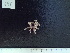  ( - CPVP-696)  @11 [ ] Unspecified (default): All Rights Reserved  Unspecified Unspecified