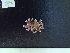  ( - CPVP-697)  @11 [ ] Unspecified (default): All Rights Reserved  Unspecified Unspecified