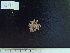  ( - CPVP-699)  @11 [ ] Unspecified (default): All Rights Reserved  Unspecified Unspecified