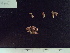  ( - CPVP-776)  @11 [ ] Unspecified (default): All Rights Reserved  Unspecified Unspecified
