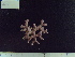  ( - CPVP-801)  @11 [ ] Unspecified (default): All Rights Reserved  Unspecified Unspecified