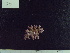  ( - CPVP-803)  @11 [ ] Unspecified (default): All Rights Reserved  Unspecified Unspecified