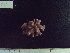  ( - CPVP-816)  @11 [ ] Unspecified (default): All Rights Reserved  Unspecified Unspecified