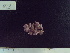  ( - CPVP-823)  @11 [ ] Unspecified (default): All Rights Reserved  Unspecified Unspecified