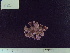 ( - CPVP-825)  @11 [ ] Unspecified (default): All Rights Reserved  Unspecified Unspecified