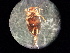  ( - V6 S1 LER0150 Nec.pen-3)  @12 [ ] No Rights Reserved (2018) Eddie Tsyrlin The University of Melbourne
