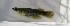  ( - TM11-116)  @13 [ ] Unspecified (default): All Rights Reserved  Unspecified Unspecified