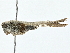  ( - RS-USJ-0103)  @11 [ ] CreativeCommons - Attribution (2022) CBG Photography Group Centre for Biodiversity Genomics