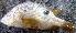  ( - PAR1536)  @11 [ ] Copyright (2015) PHCDBS Paul Hebert Centre for DNA Barcoding and Biodiversity Studies
