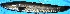  ( - MAHN2115)  @11 [ ] Copyright (2018) PHCDBS Paul Hebert Centre For DNA Barcoding & Biodiversity Studies