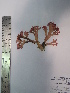  ( - Fernandez_370)  @11 [ ] CreativeCommons - Attribution Non-Commercial (2013) Unspecified Universidad Nacional del Sur