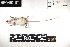  ( - BART.20180718.R4454.E)  @11 [ ] CreativeCommons - Attribution Share-Alike (2025) Unspecified Arizona State University