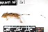  ( - BART.20190806.R5099.E)  @11 [ ] CreativeCommons - Attribution Share-Alike (2025) Unspecified Arizona State University