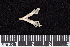  ( - NOGP.20200630.R4959.E)  @11 [ ] CreativeCommons - Attribution Share-Alike (2025) Unspecified Arizona State University